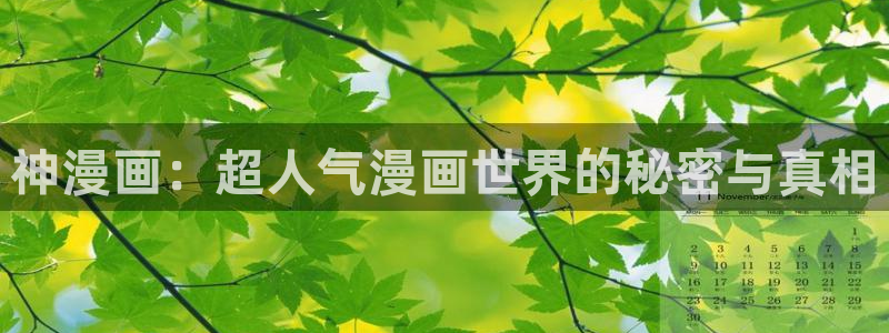日韩漫画无删减免费版：神漫画：超人气漫画世界的秘密与真相